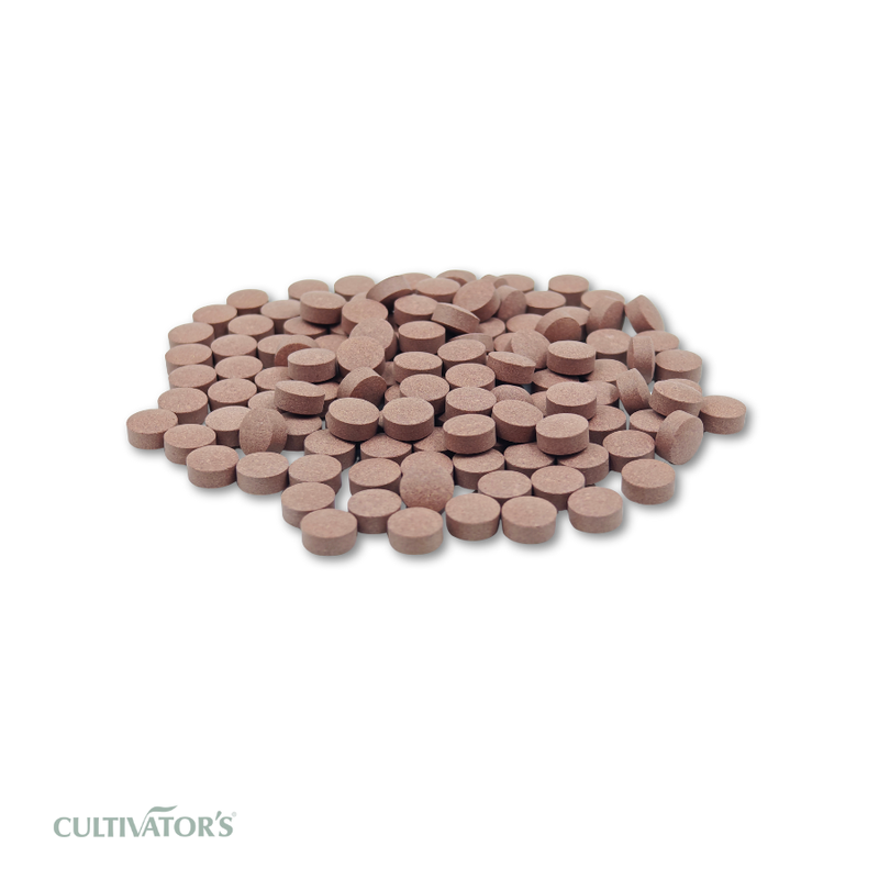 Organic Rosa centifolia Tablet