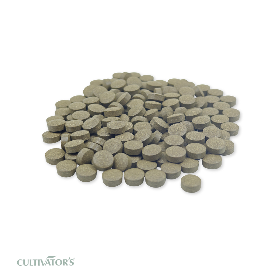Organic Eclipta alba Tablet