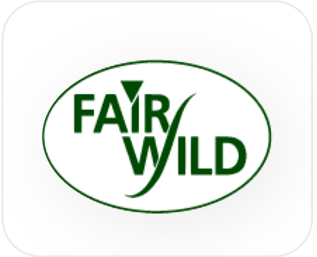 Certification Icon