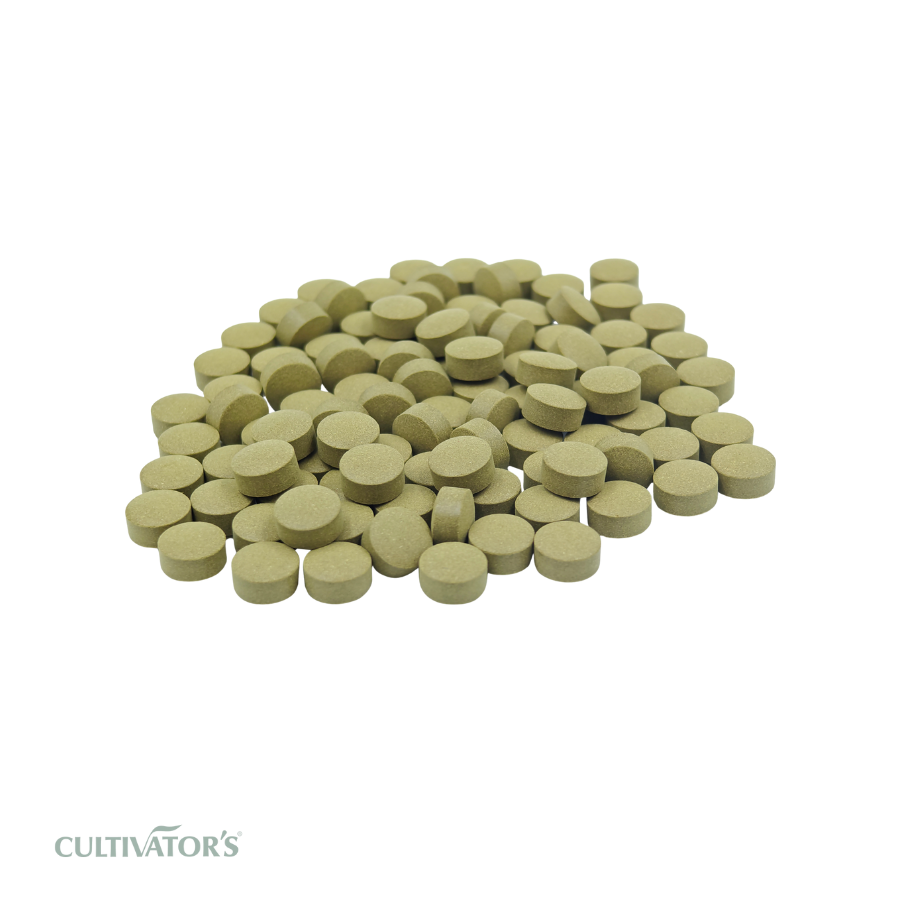 Organic Cassia angustifolia Tablet