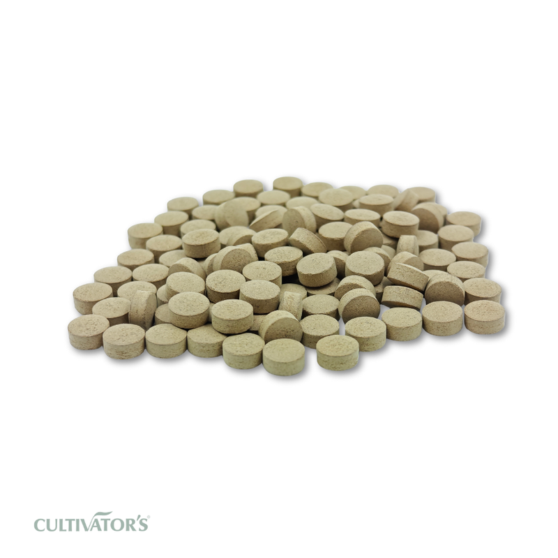 Organic Terminalia chebula Tablet