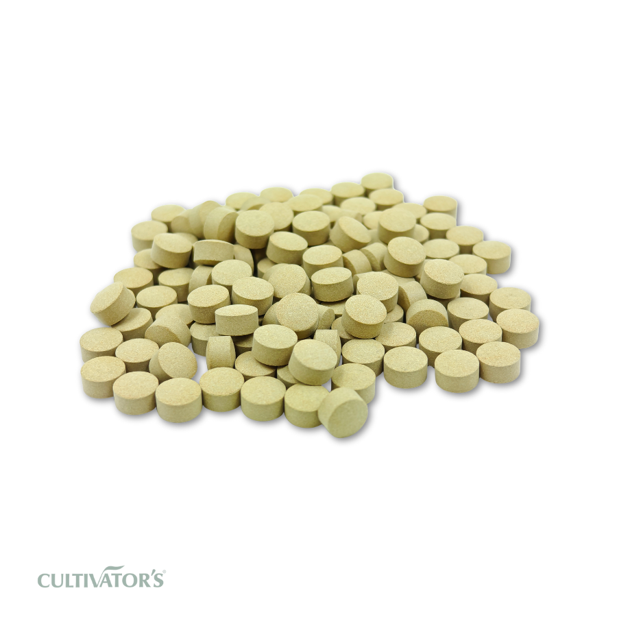 Organic Matricaria chamomilla Tablet