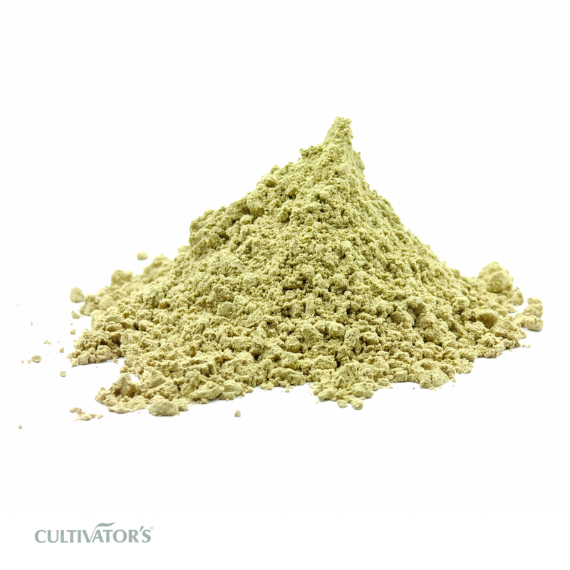 Organic Kantakari Plant Powder