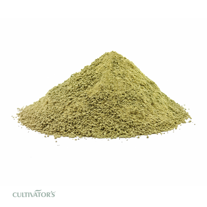 Organic Gurmar Leaves Granules