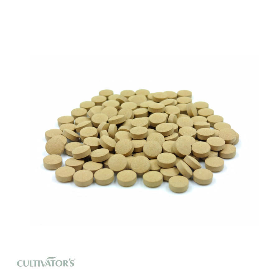 Organic Phyllanthus emblica Tablet