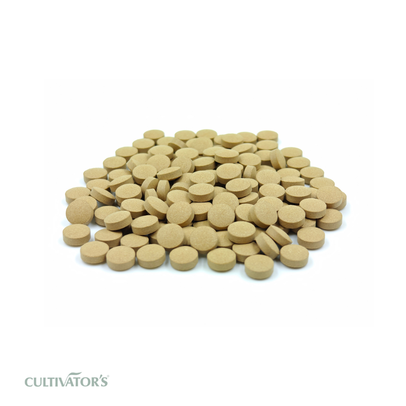 Organic Phyllanthus emblica Tablet