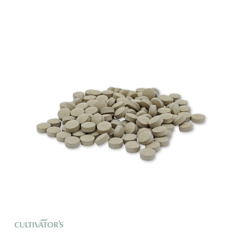 Organic Bacopa monnieri Tablet