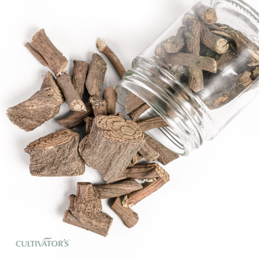 Organic Danti Roots