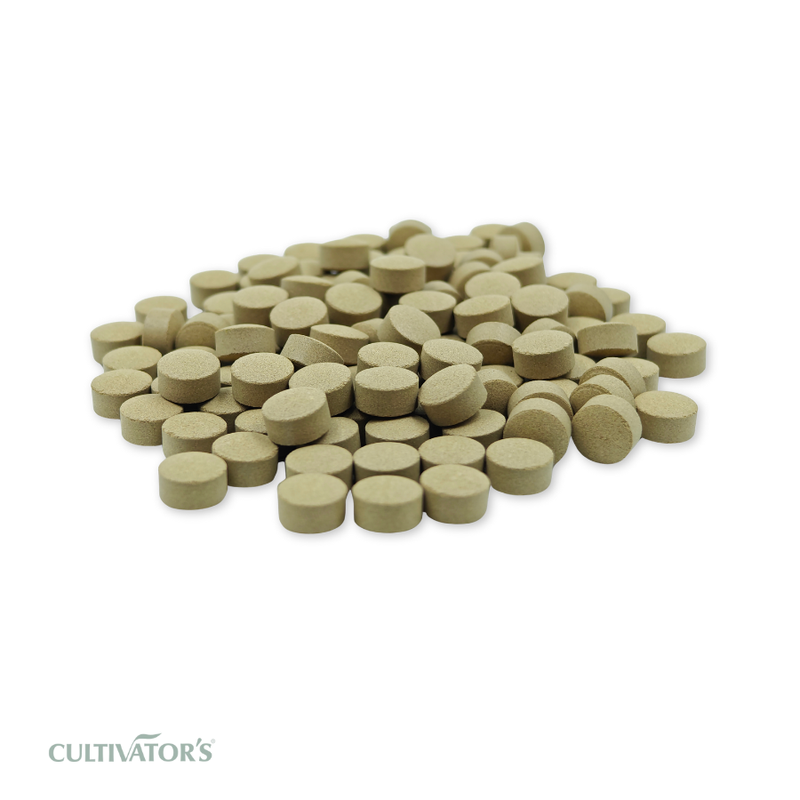Organic Tinospora cordifolia Tablet