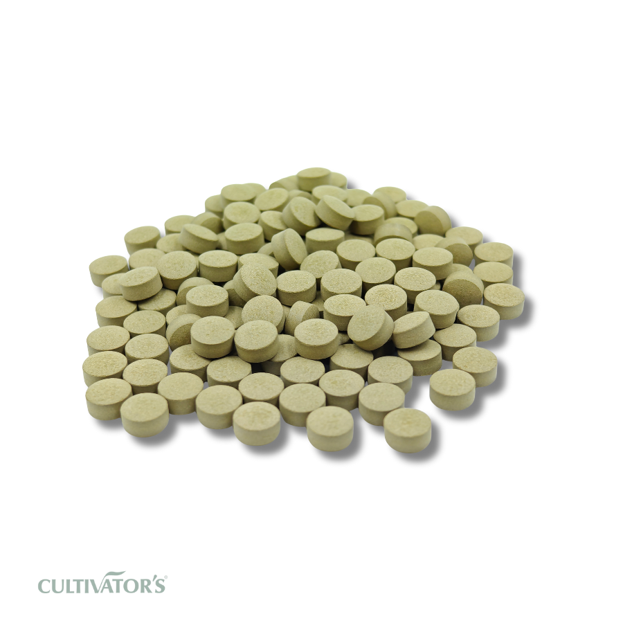 Organic Gymnema sylvestre Tablet