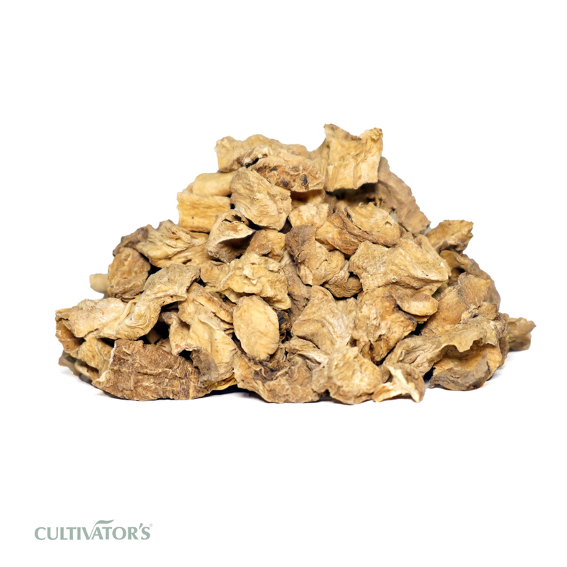 Organic Chicory Root Cubes