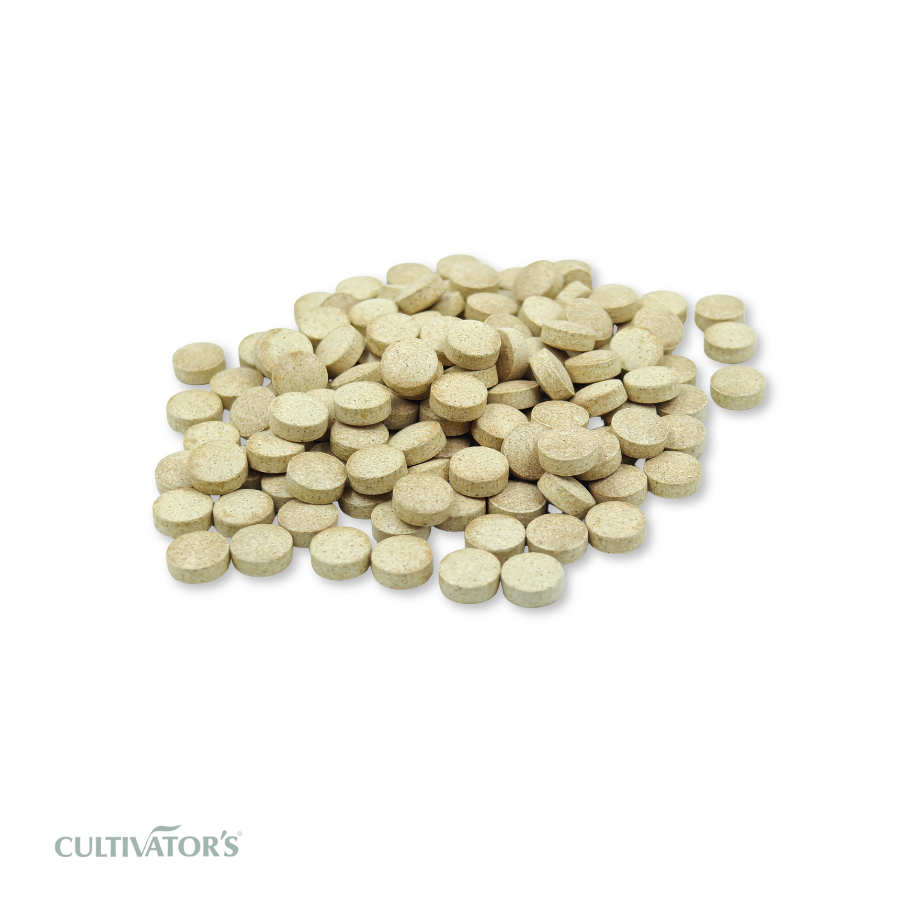 Organic Cichorium intybus Tablet