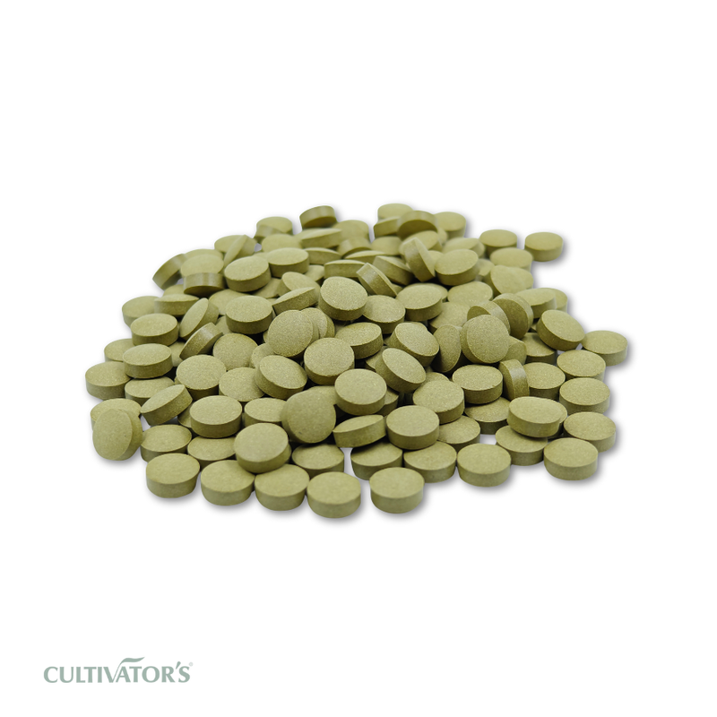 Organic Moringa oleifera Tablet