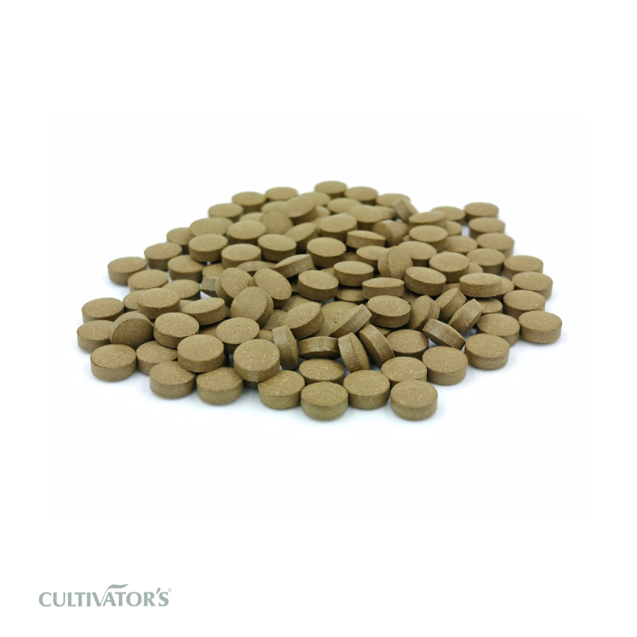 Organic Rama tulsi Tablet