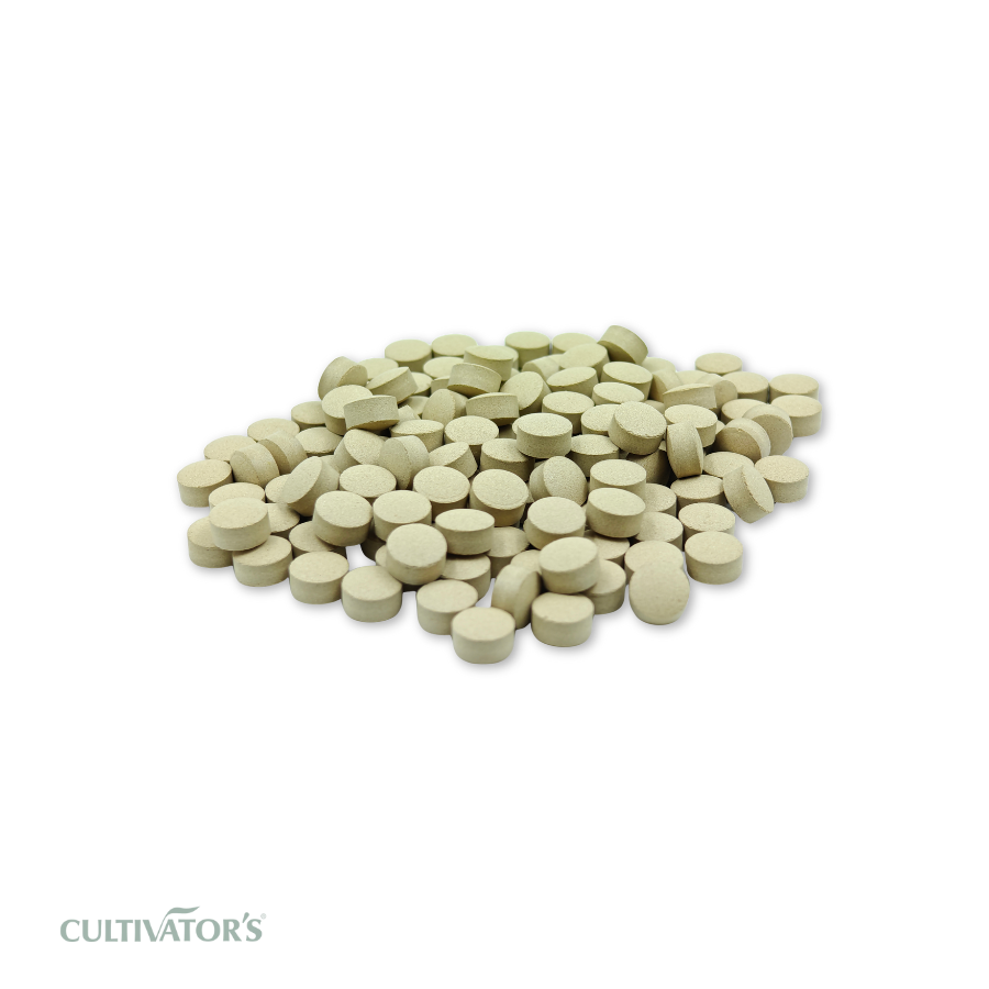 Organic Boerhavia diffusa Tablet