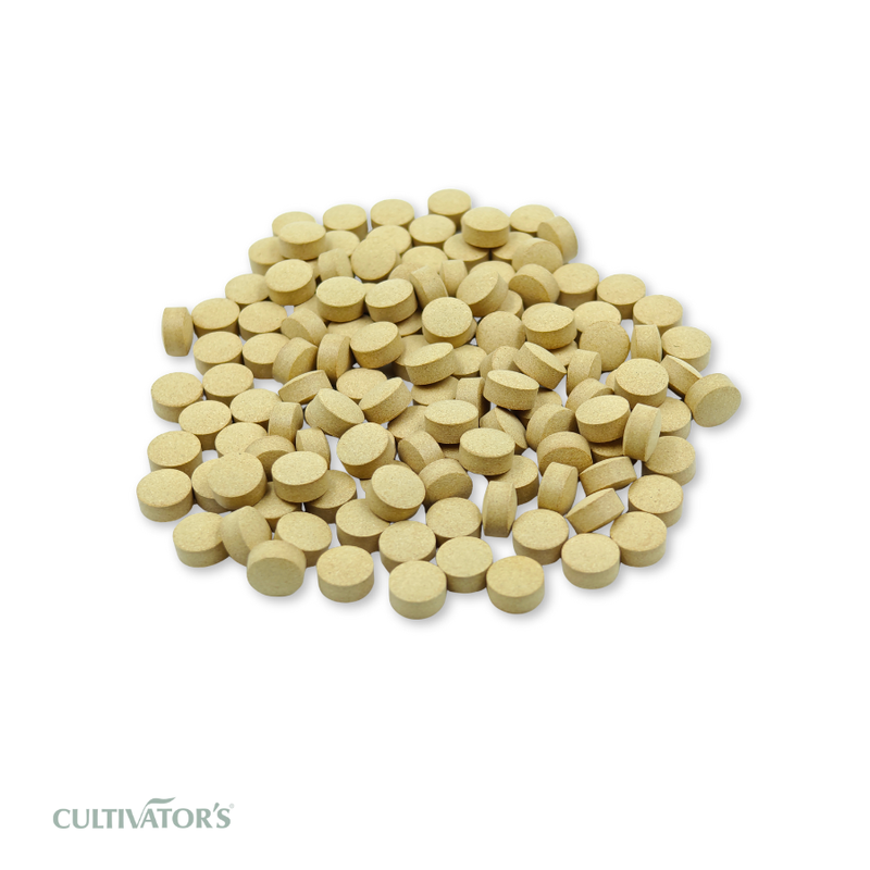 Organic Zingiber officinale Tablet