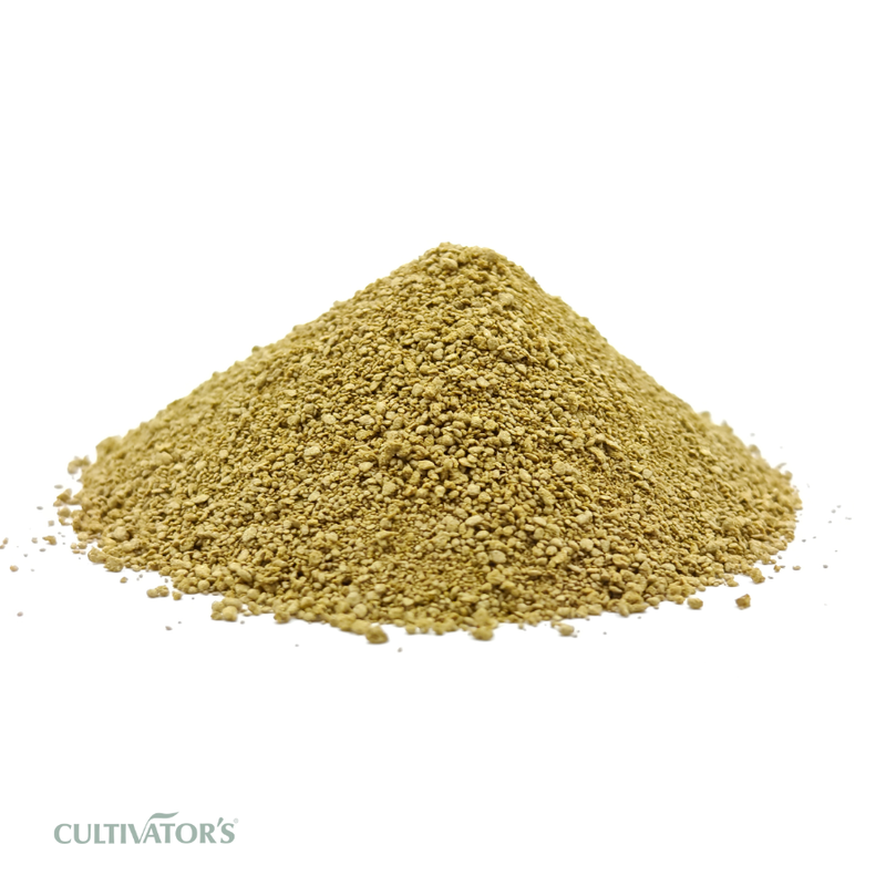Organic Chamomile Flower Granules
