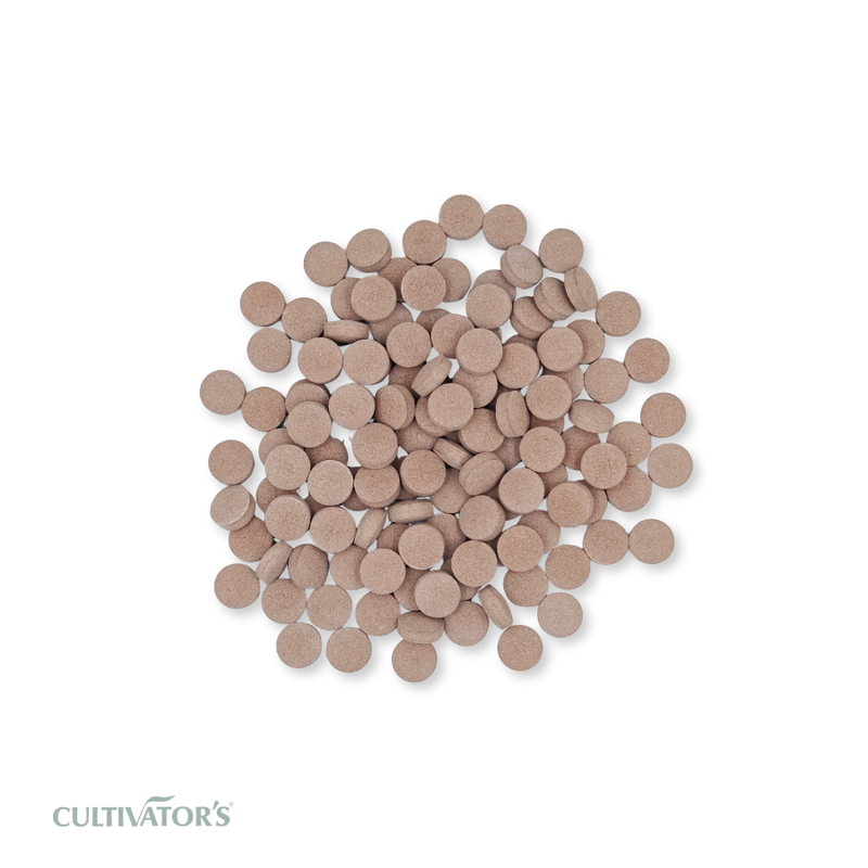 Organic Terminalia arjuna Tablet
