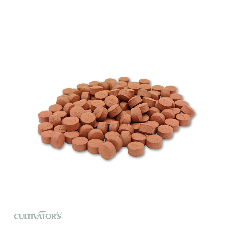 Organic Rubia cordifolia Tablet