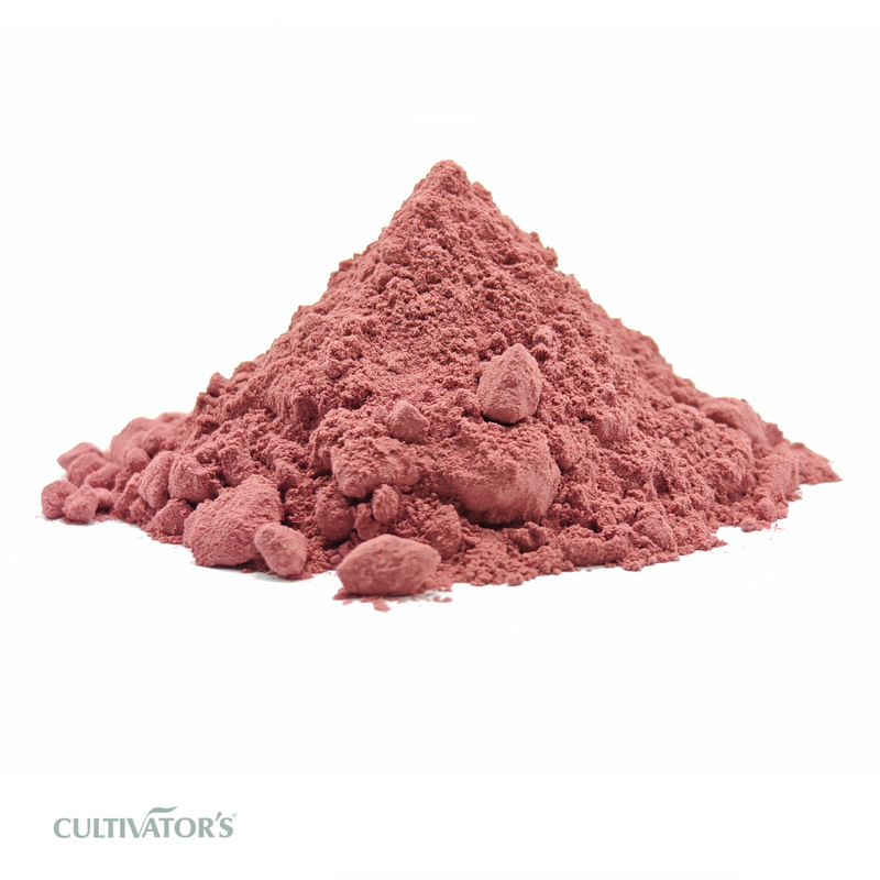 Organic Hibiscus Flower Powder