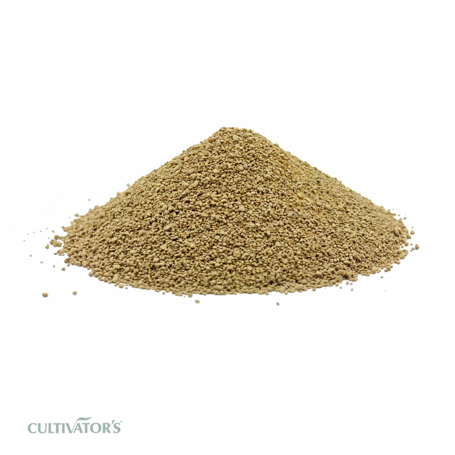 Organic Rama Tulsi Leaves Granules