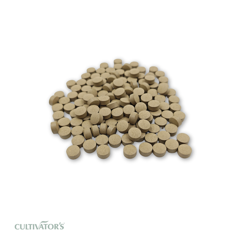 Organic Convolvulus pluricaulis Tablet