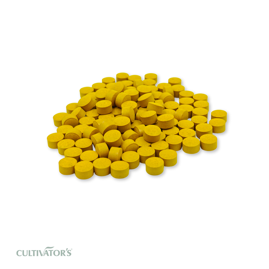 Organic Curcuma longa Tablet
