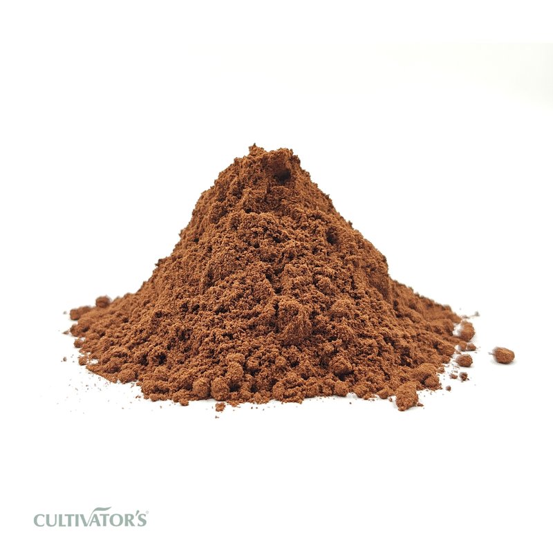 Organic Vidanga Seed Powder