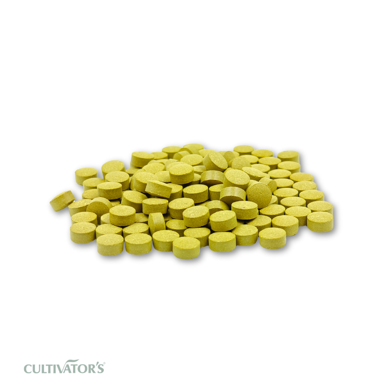 Organic ImmunIncrease Tablet