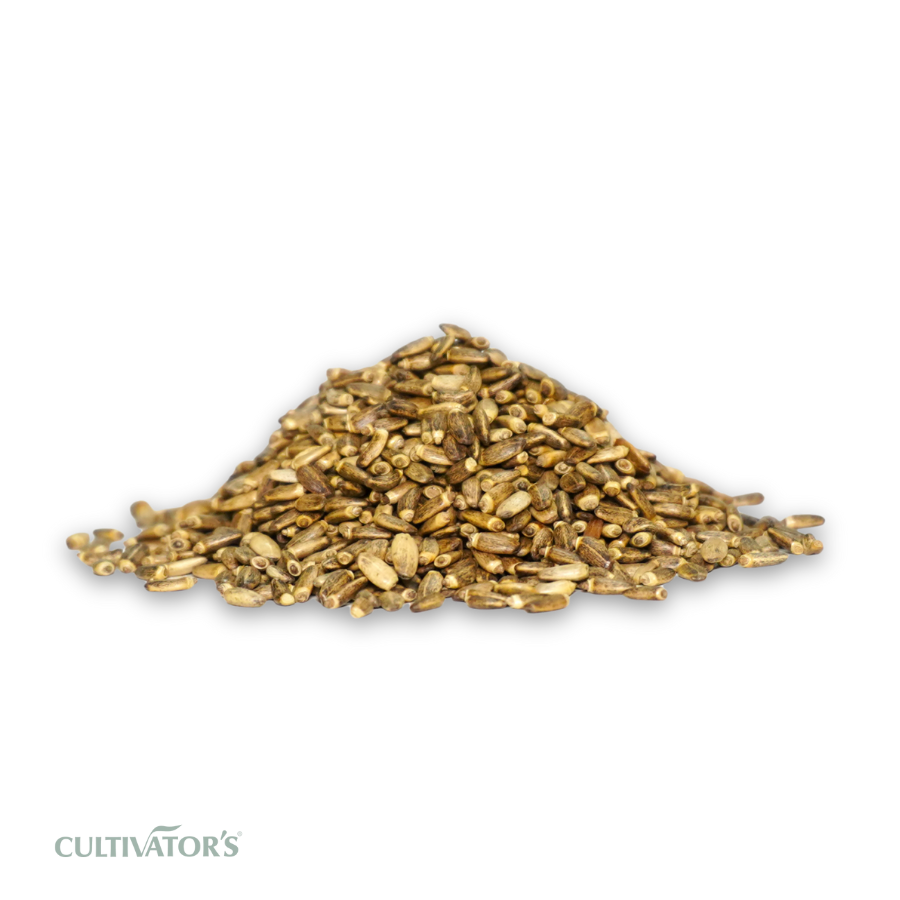 Organic Milk Thistle Seeds