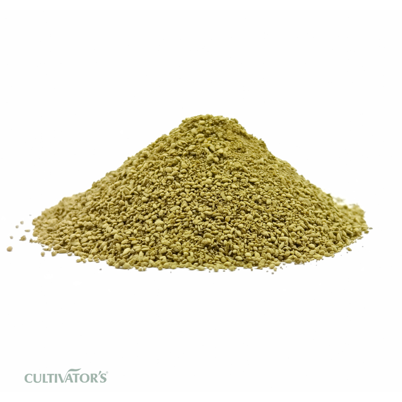 Organic Gotu Kola Leaves Granules