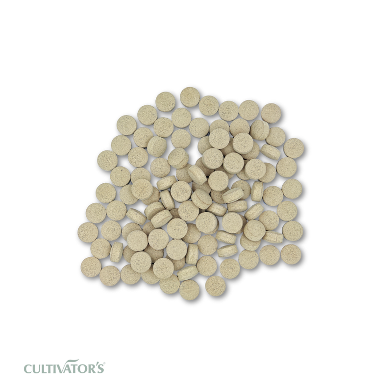 Organic Terminalia chebula Tablet