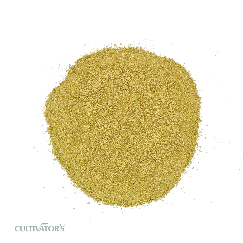 Organic Chamomile Flower Granules