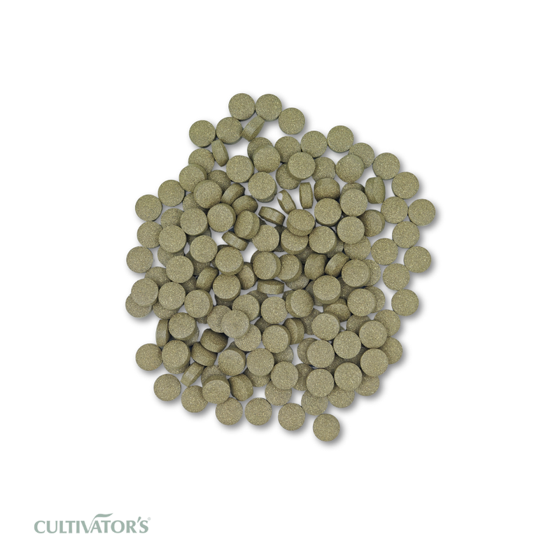 Organic Eclipta alba Tablet