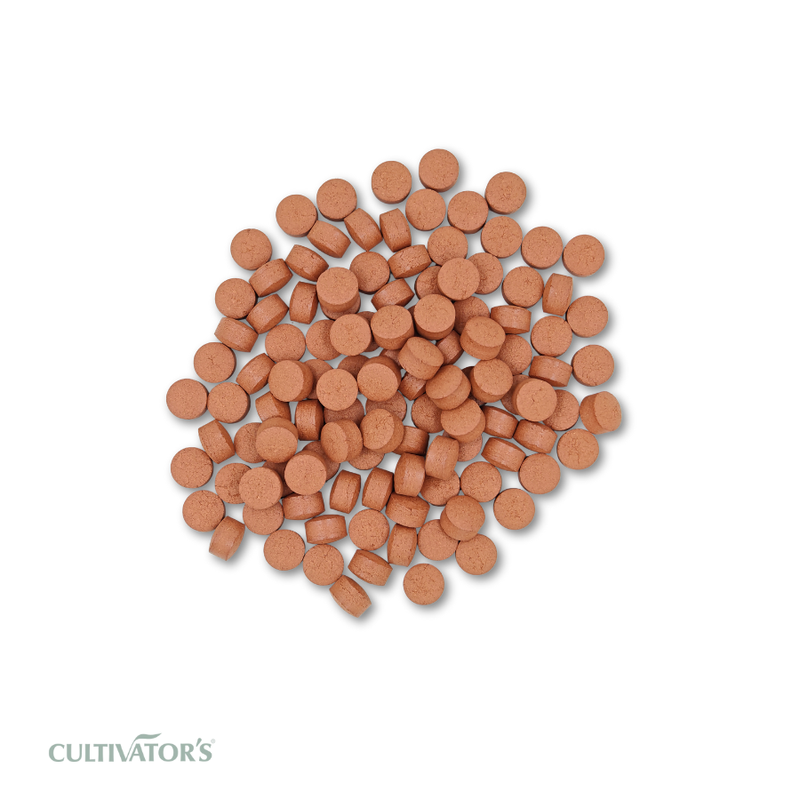 Organic Rubia cordifolia Tablet