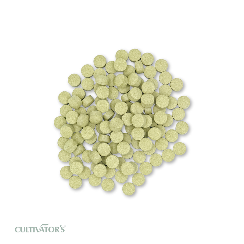 Organic Eucalyptus globulus Tablet