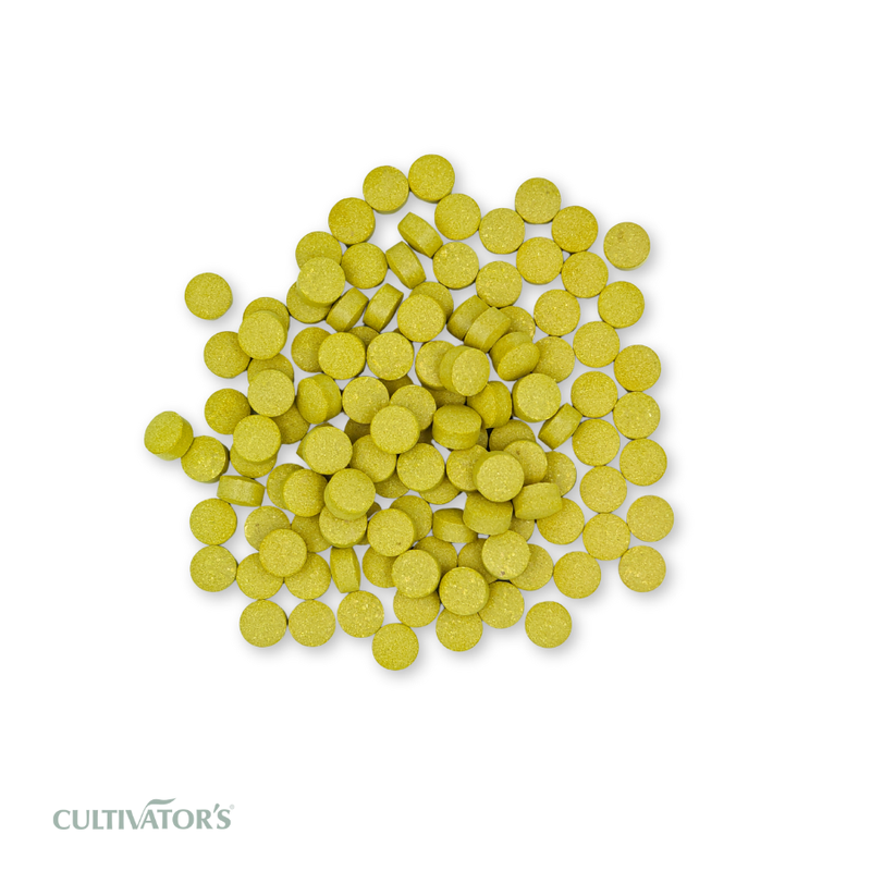Organic ImmunIncrease Tablet