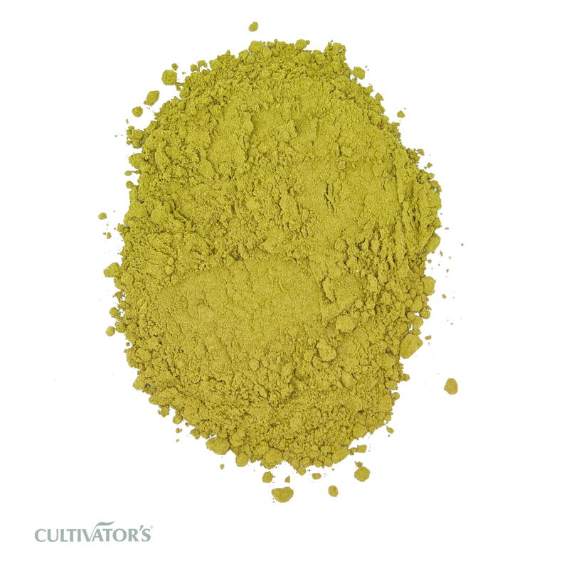 Organic Curry Leaf Powder