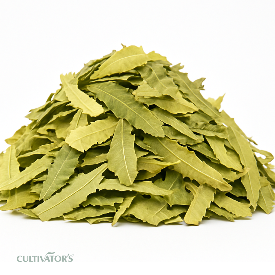 Organic Neem Leaves