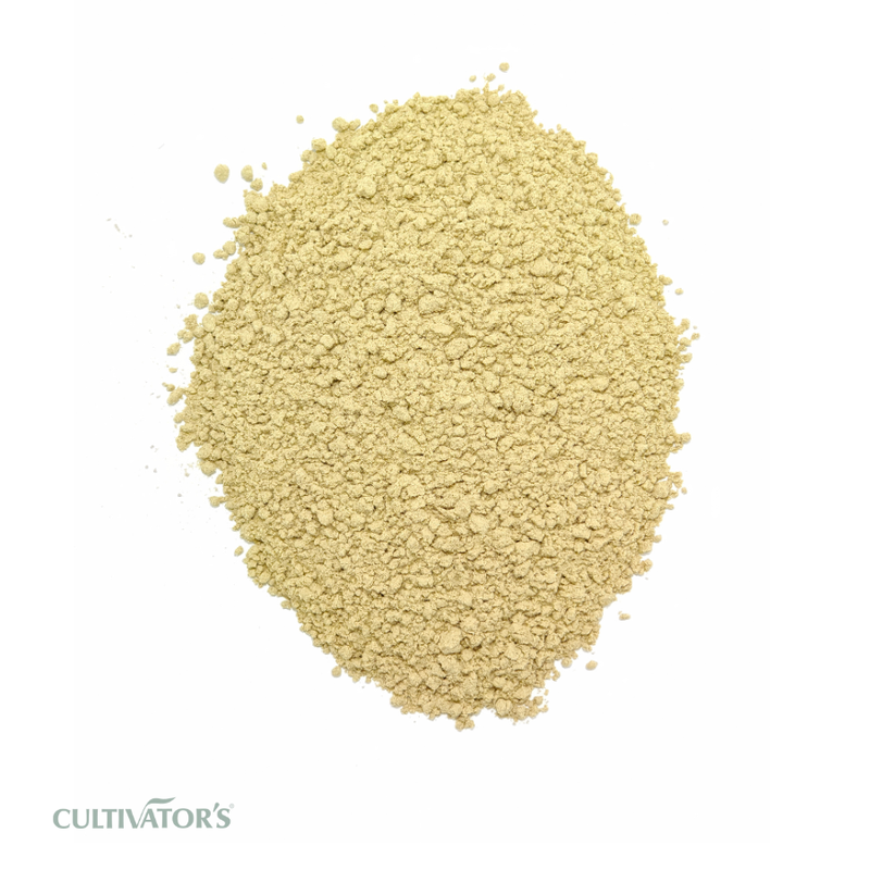 Organic Shankhpushpi Powder