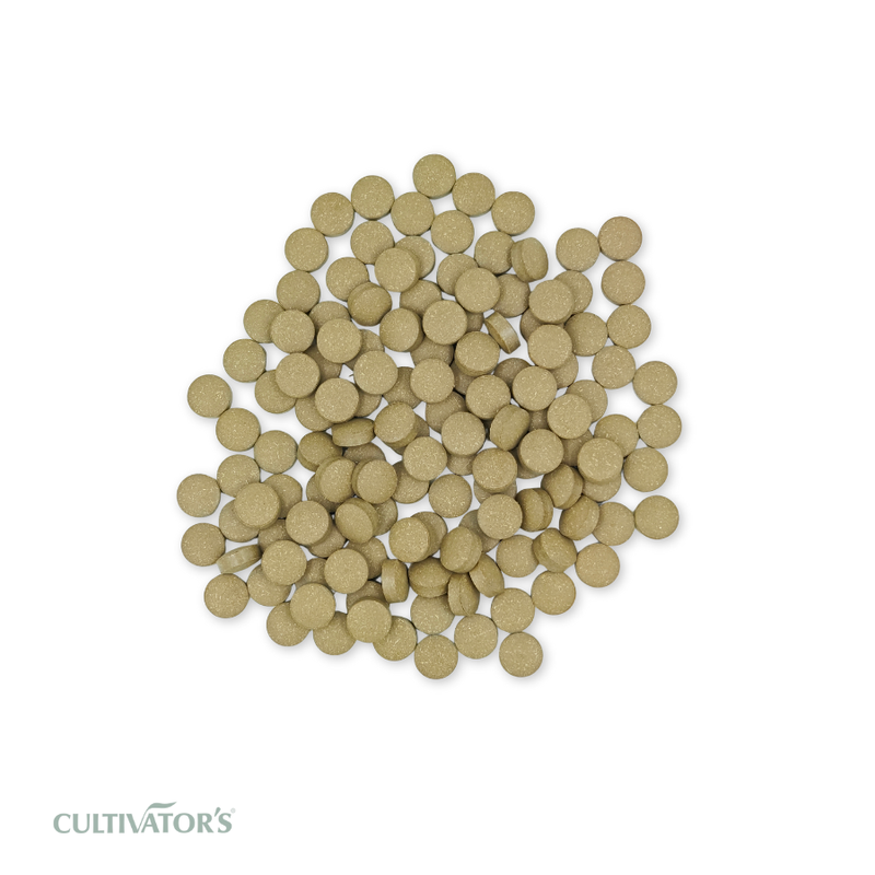 Organic Rama tulsi Tablet