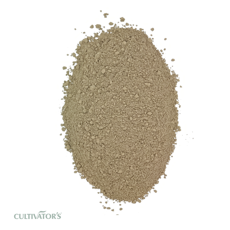 Organic Nirgundi Leaf Powder
