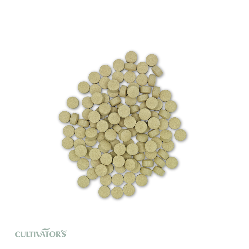 Organic Tinospora cordifolia Tablet