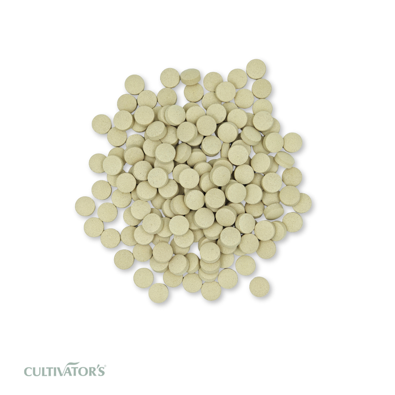 Organic Withania somnifera Tablet