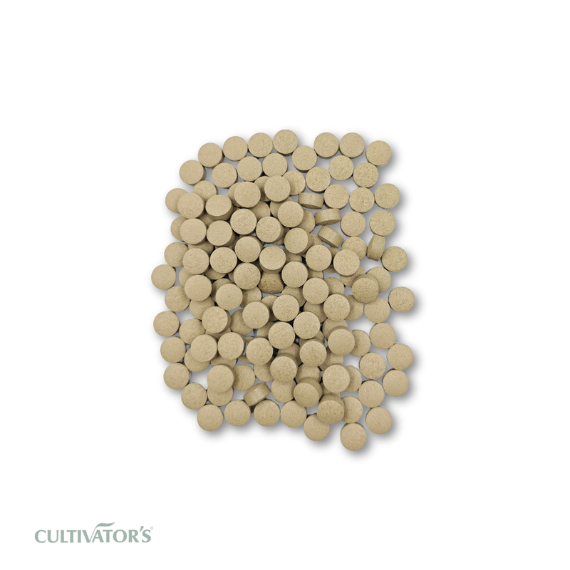 Organic Convolvulus pluricaulis Tablet