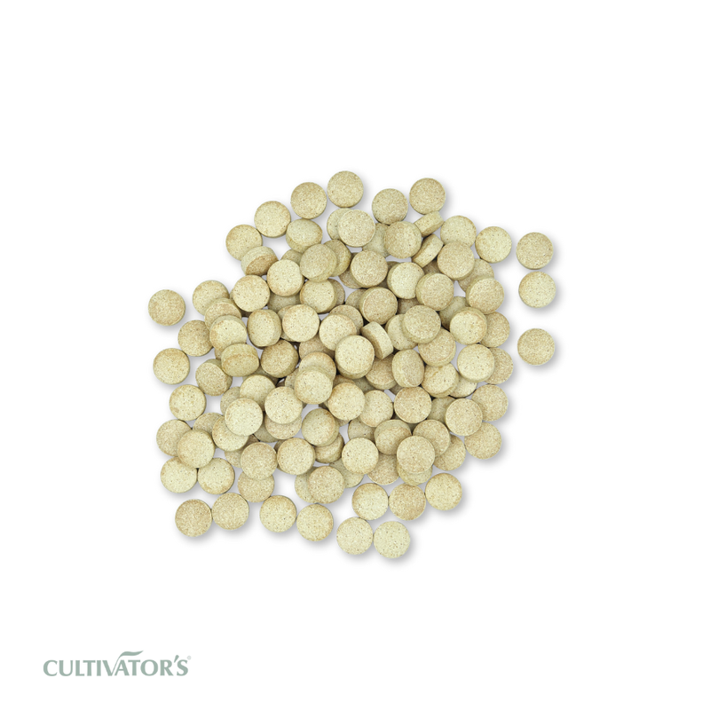 Organic Cichorium intybus Tablet