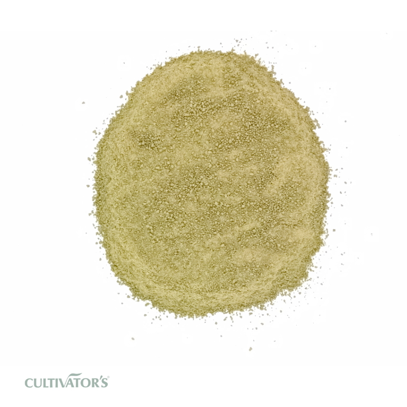 Organic Gurmar Leaves Granules