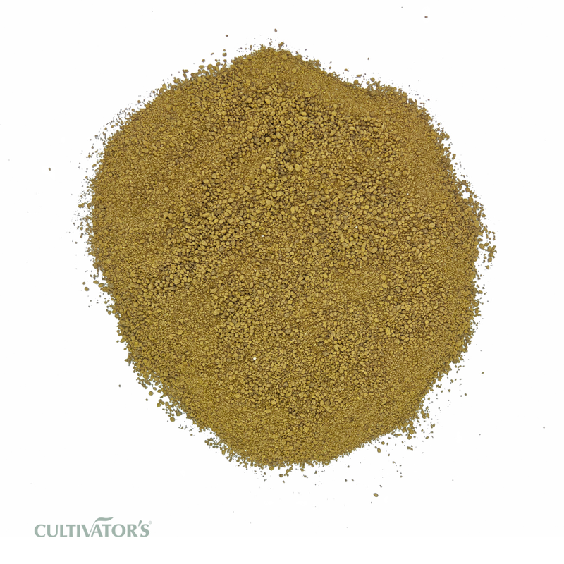 Organic Rama Tulsi Leaves Granules