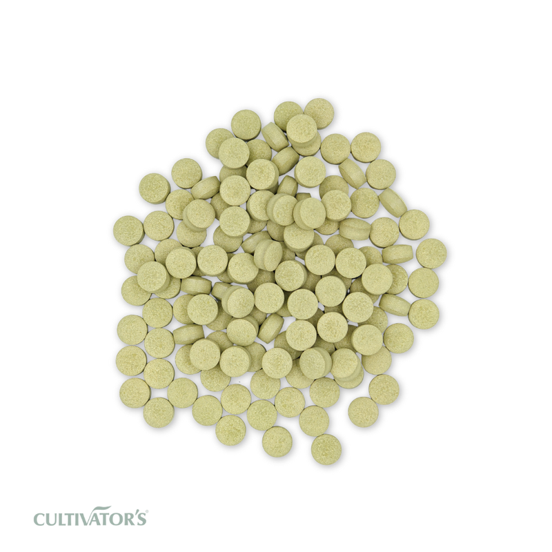 Organic Gymnema sylvestre Tablet
