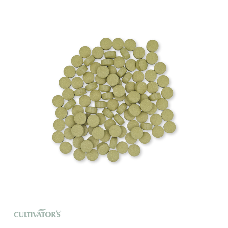 Organic Cassia angustifolia Tablet